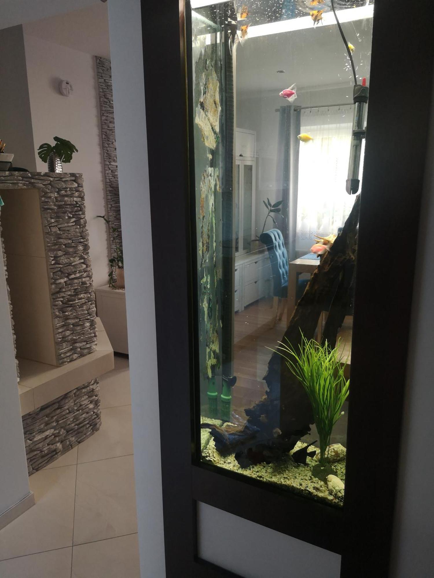 Apartmán Yesplease Gizycko Mazury Exteriér fotografie